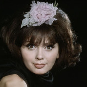 france-anglade-d46