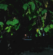 1761329538225-01.jpg