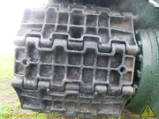 DSCN6138