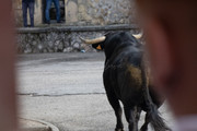 IMG-0046