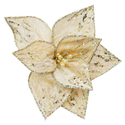 BC-ATaste-Of-Winter-El-32