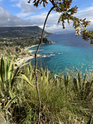 IMG-1852