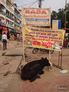 BBG&B6AroundTheGuesthousePics - 2