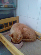 Злата в начале жизни у нас (1)