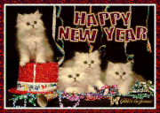 katznewyears