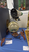 20260412-081645