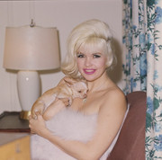 jayne-mansfield-h16