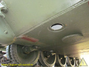 IMG-3555