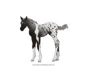 16BD17E9-3C98-46F3-B011-D6A1D09228F4