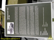 DSCN6637
