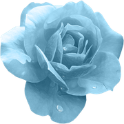 GlamourGirl_MM_Element (134)