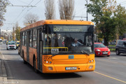 IMG-1194