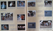 IMG-0017