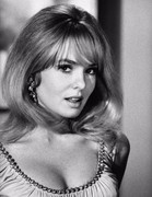 joey-heatherton-b94