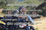 IMG-2591