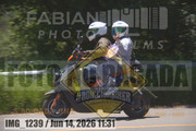 IMG-1239
