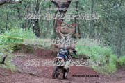IMG-6605