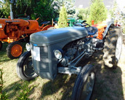 DSCN1019.jpg