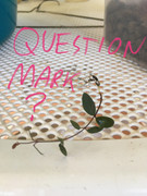 A4430408-76D8-41FA-9ACF-9296B991C2A9