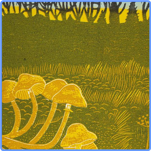 Rural Tapes - Rural Tapes (2021) mp3 320 Kbps
