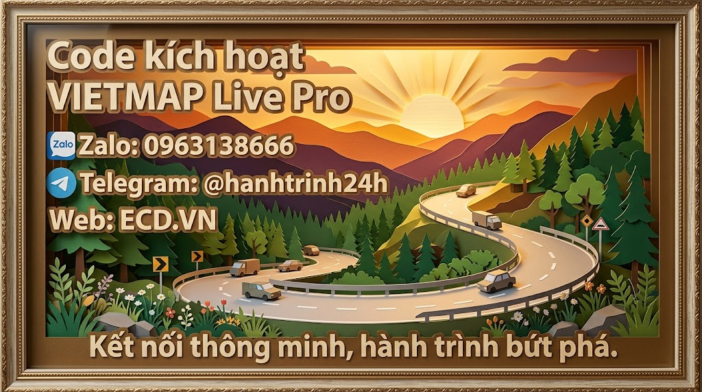 vietmap pro full alert