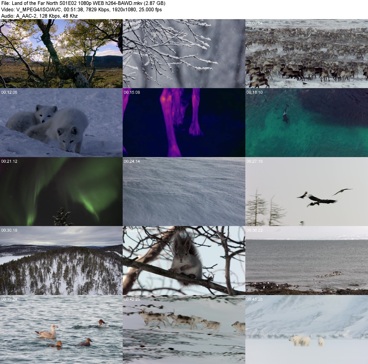 [Image: 9zjenxp2t7e3.jpg]