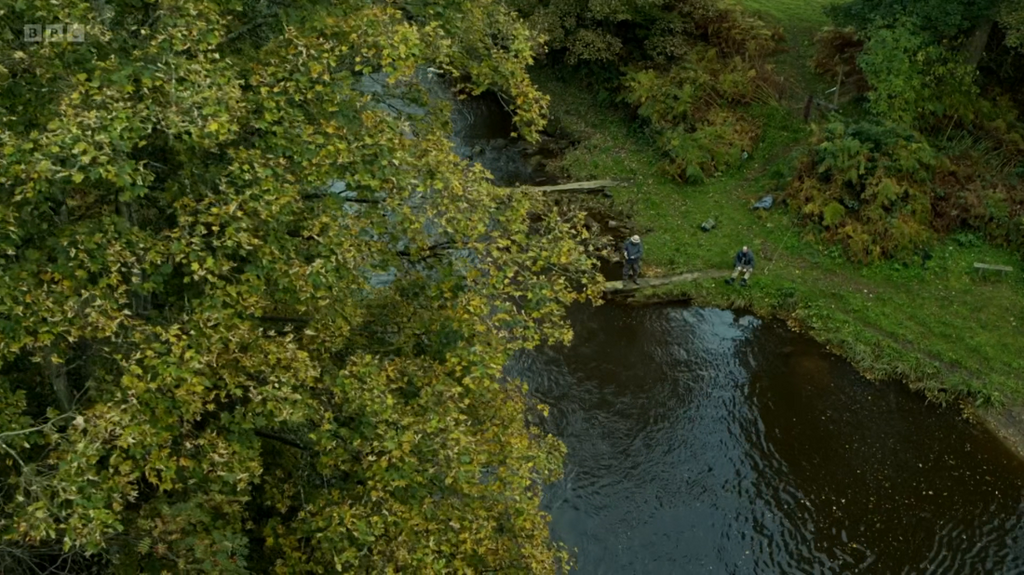 [Image: d6ezl8qw1z0s.png]