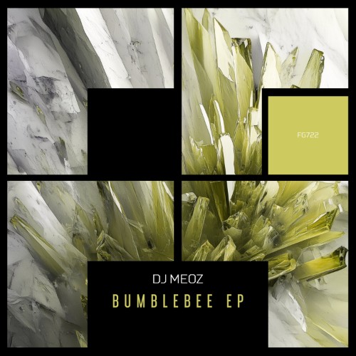 00-dj-meoz-bumblebee-ep-fg722-web-2026-c