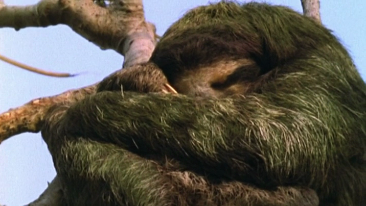 [Image: srp0hf5su84m.png]