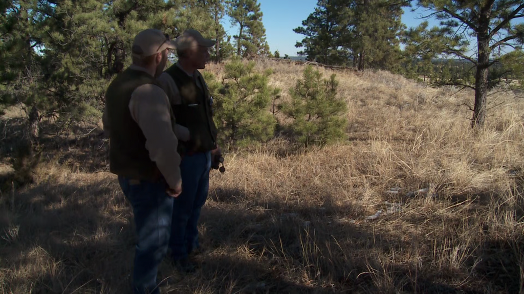 [Image: 7hruymgn6h29.png]