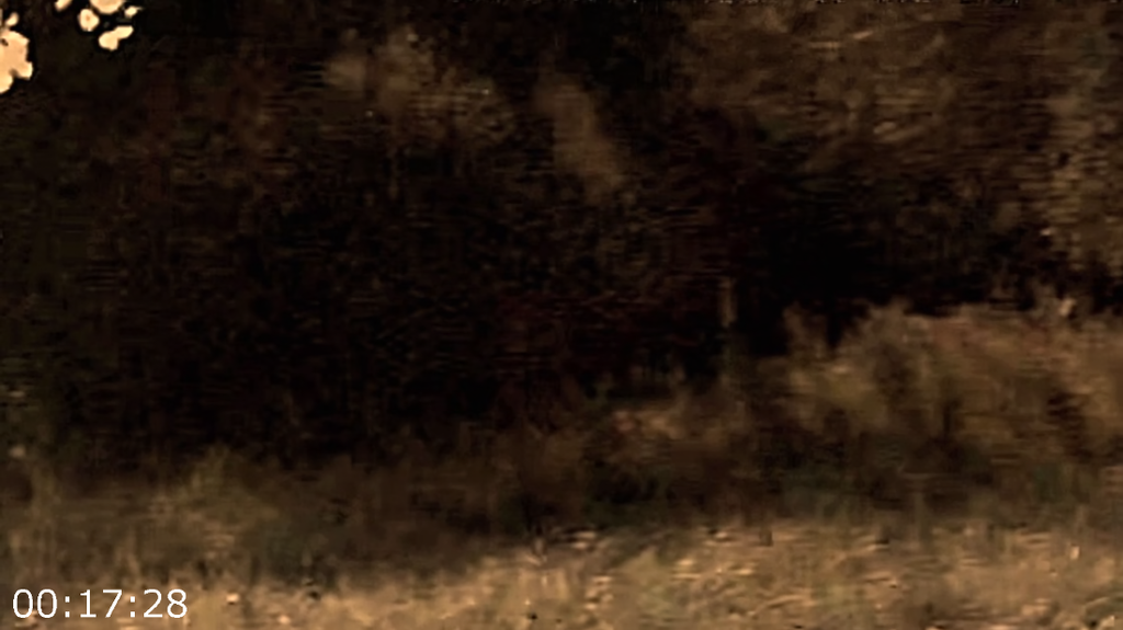 gigo5maf528z.png