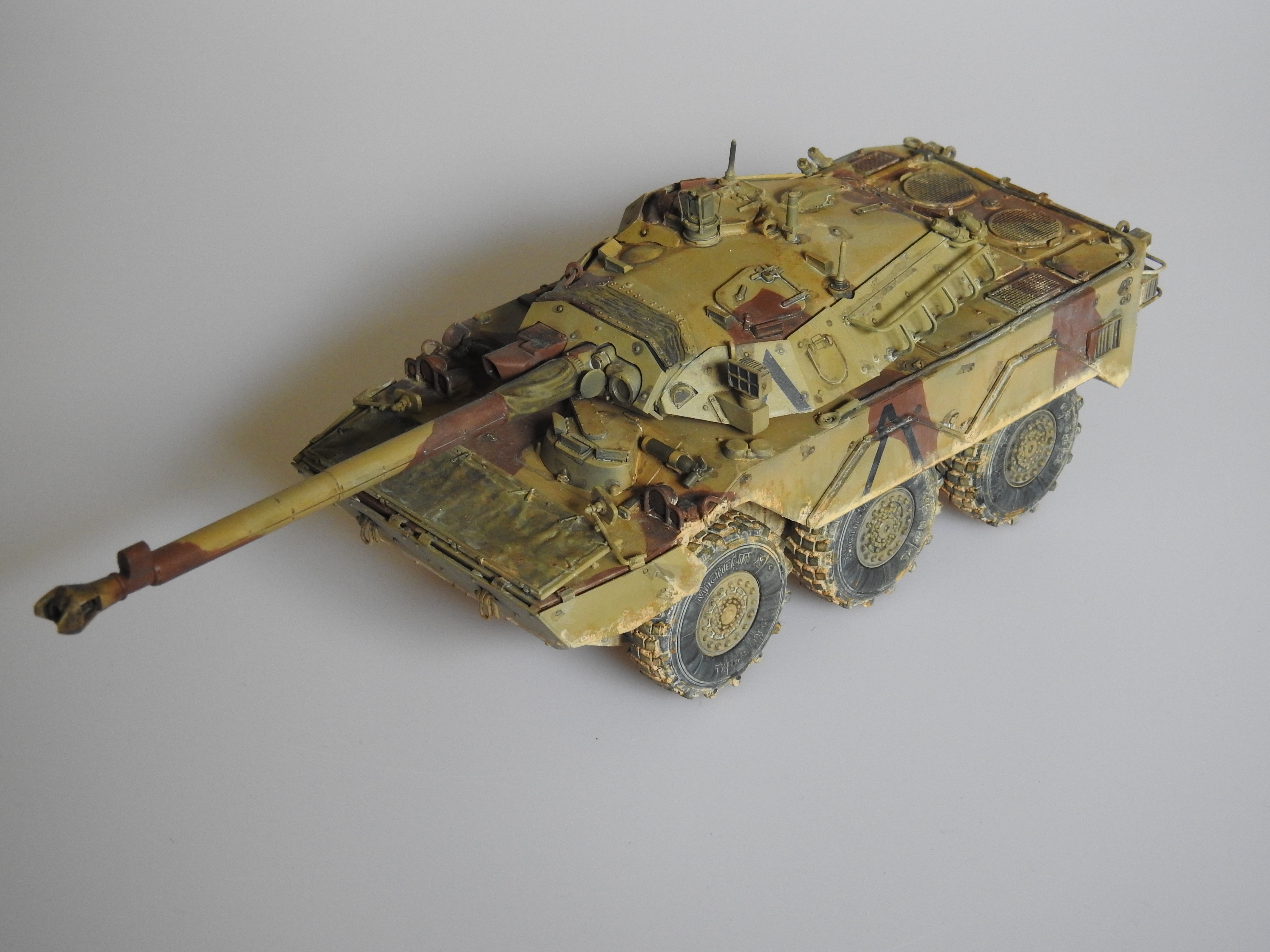 AMX-10RC 1/35 Tiger models – klar DSCN7375