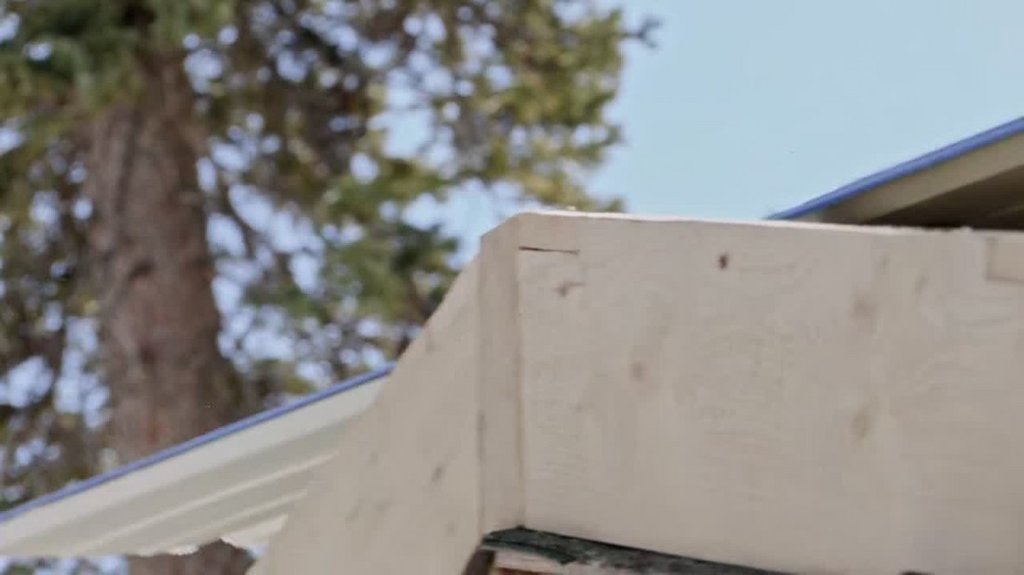 [Image: 4r3va2oni7sl.jpg]