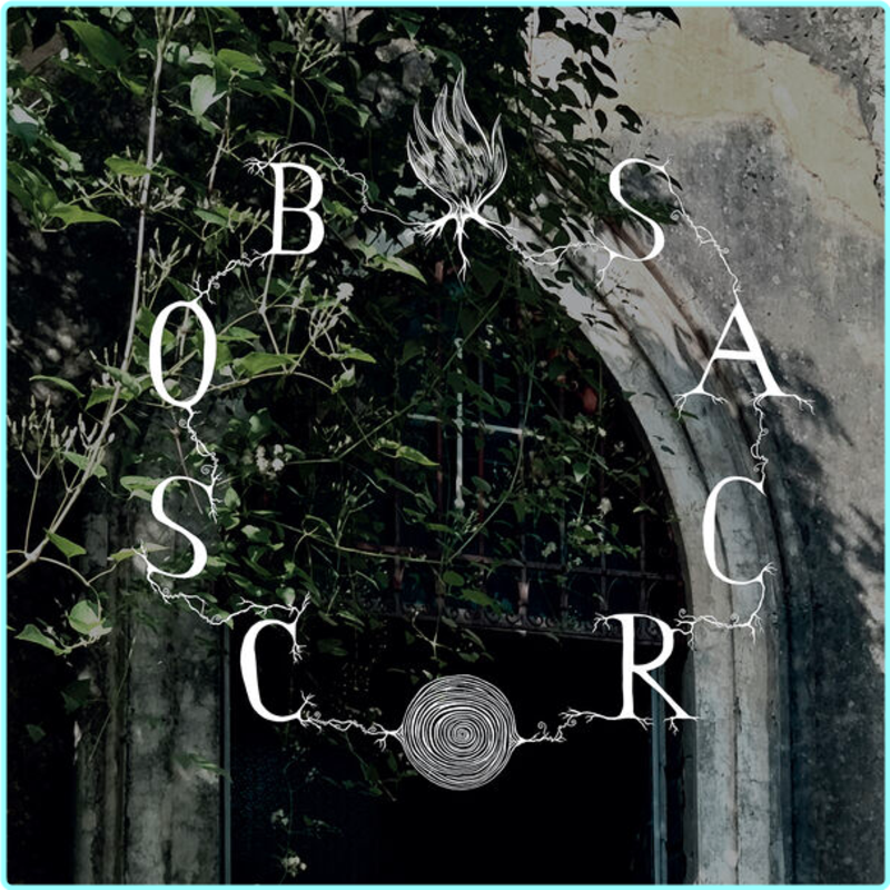 [Image: cqj4s8ae53wh.png]