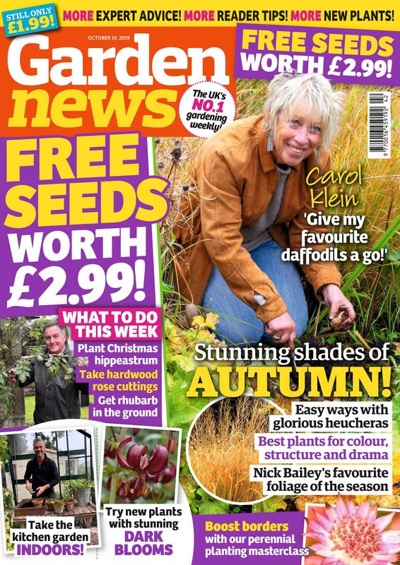 Garden-News-19-October-2019.jpg