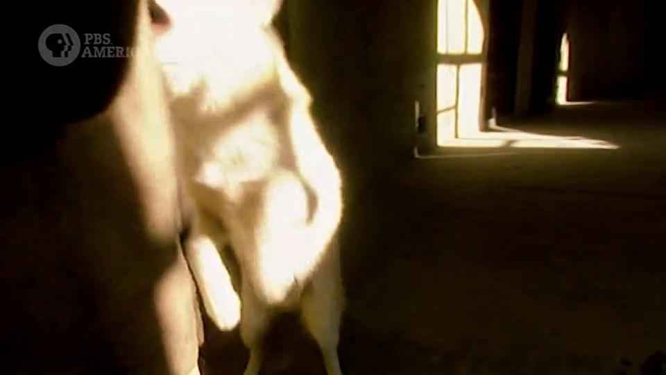 [Image: 3fnv9p1lgbe9.png]