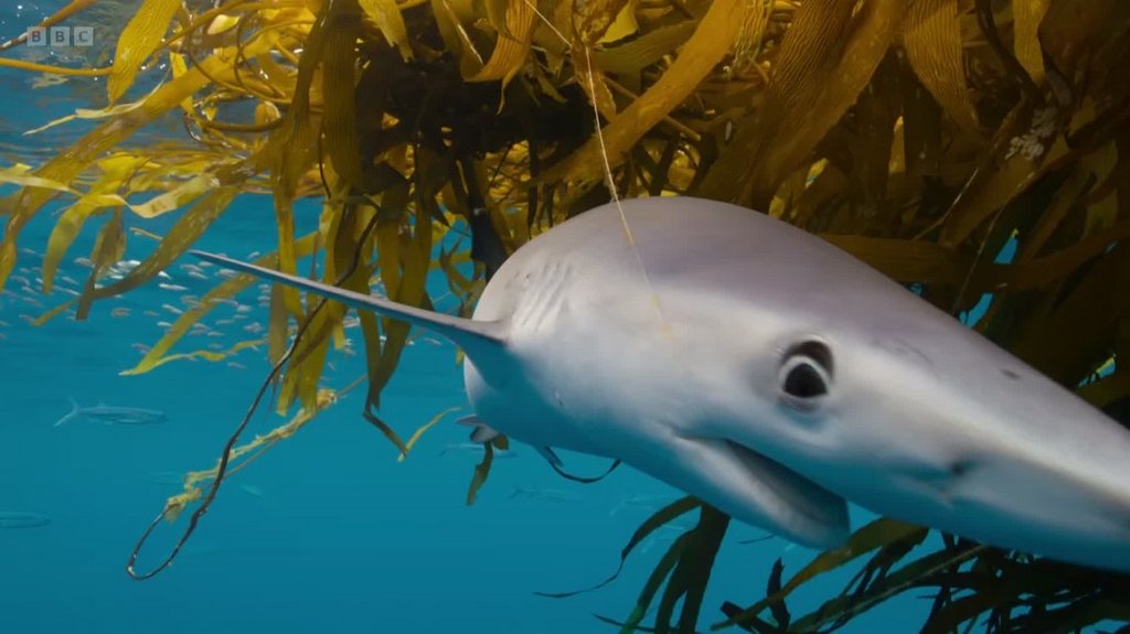 [Image: c0gtdt0x5mb8.jpg]