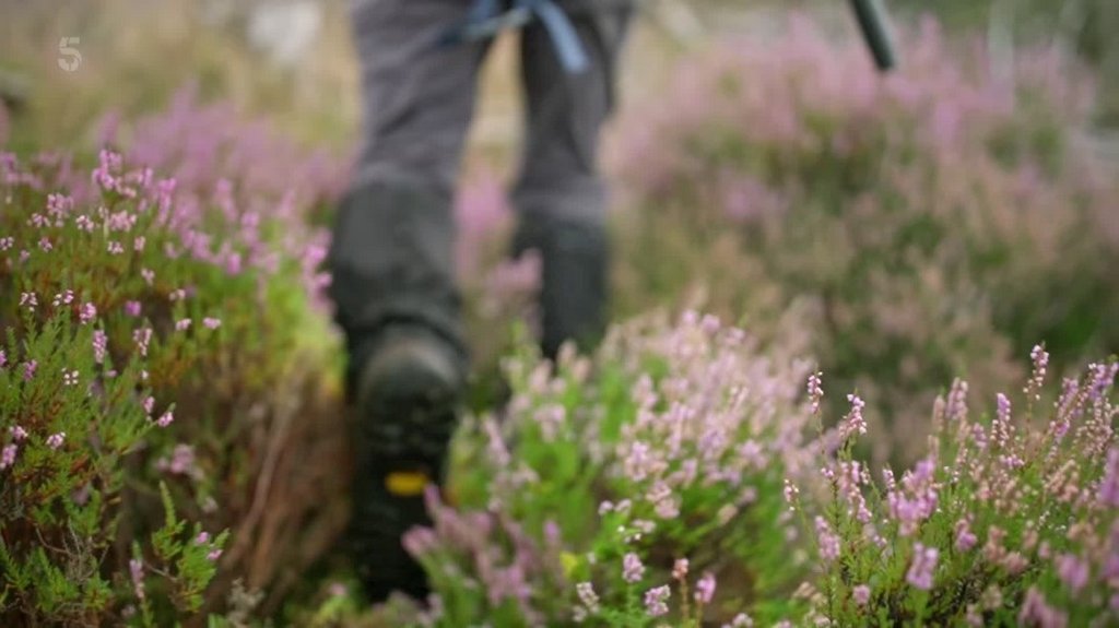 [Image: 9m9etc4sz5cr.jpg]