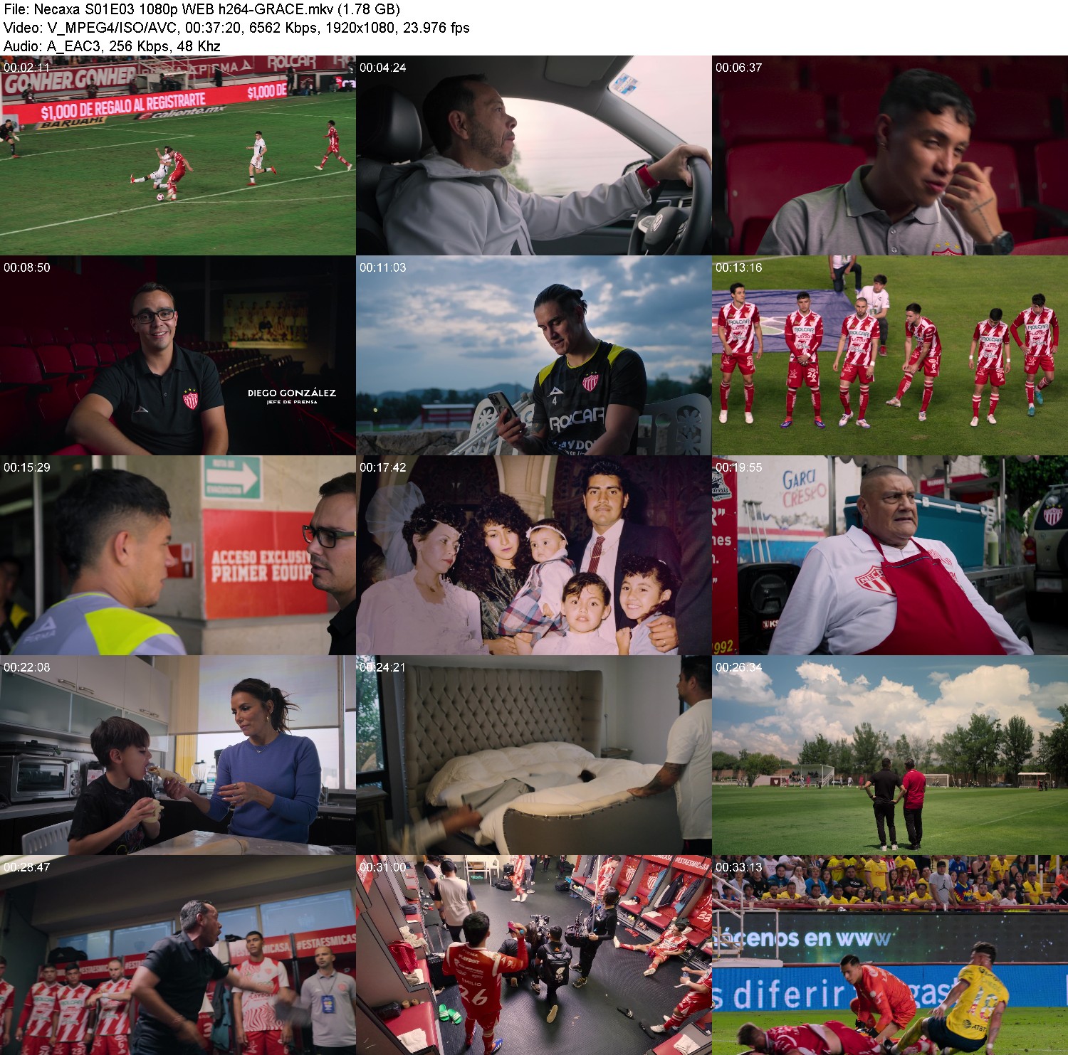 [Image: d91c8tniwa7m.jpg]