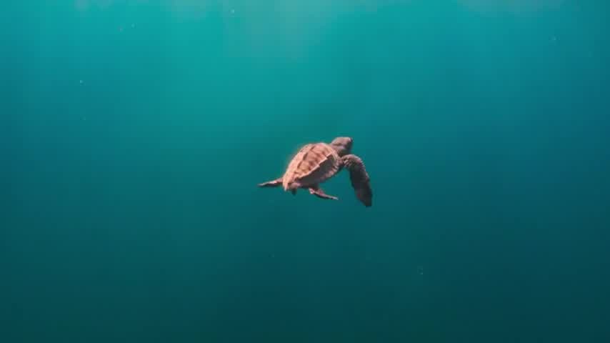 [Image: sdpun49c6h4v.jpg]