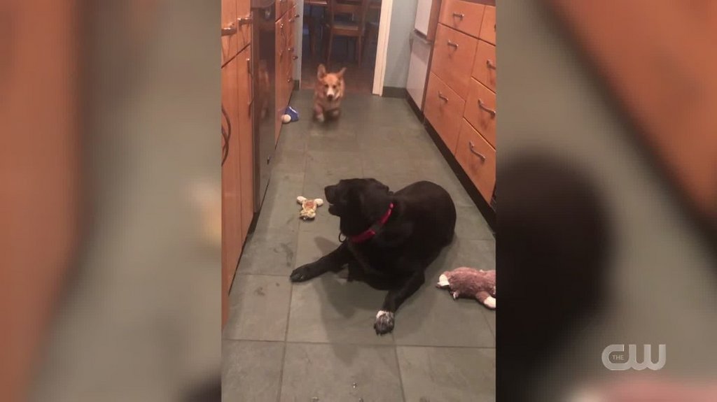 [Image: g5vwv308hjxl.jpg]