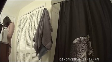 [Image: Voyeur38695135249.jpg]