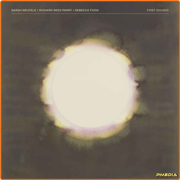 [Image: uao1mq5fvm95.png]