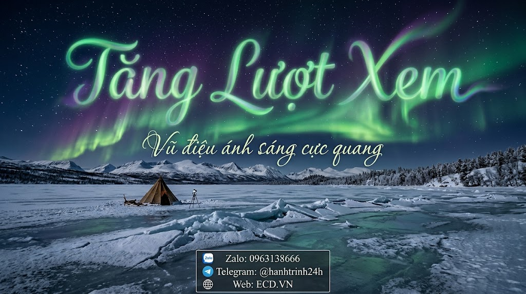 tang view video livestream