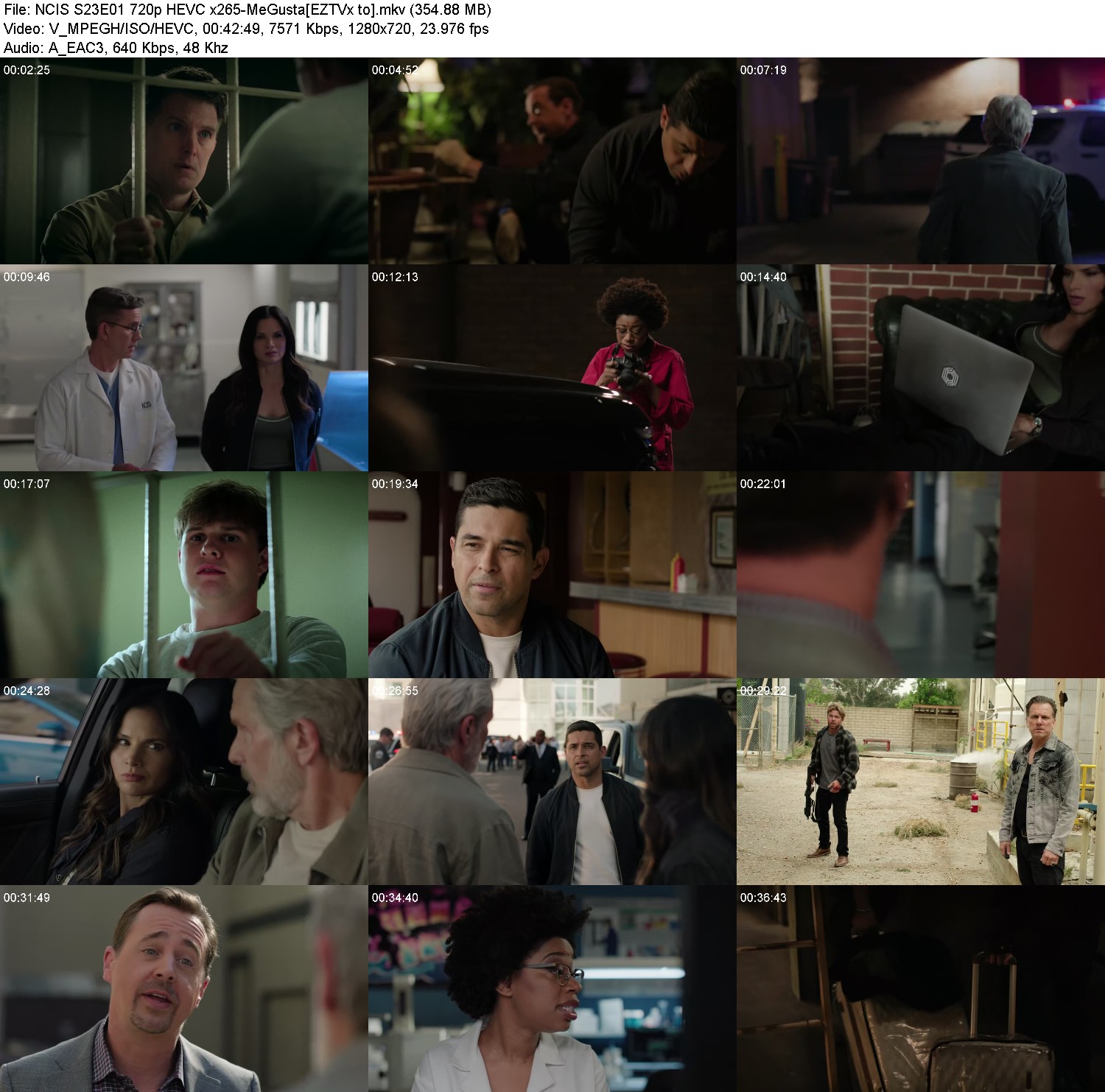 [Image: 96ozmmerao45.jpg]