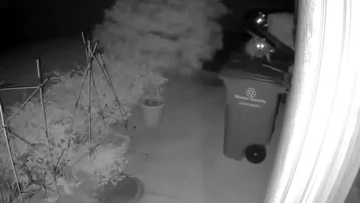 [Image: otu12lmi6f4z.jpg]