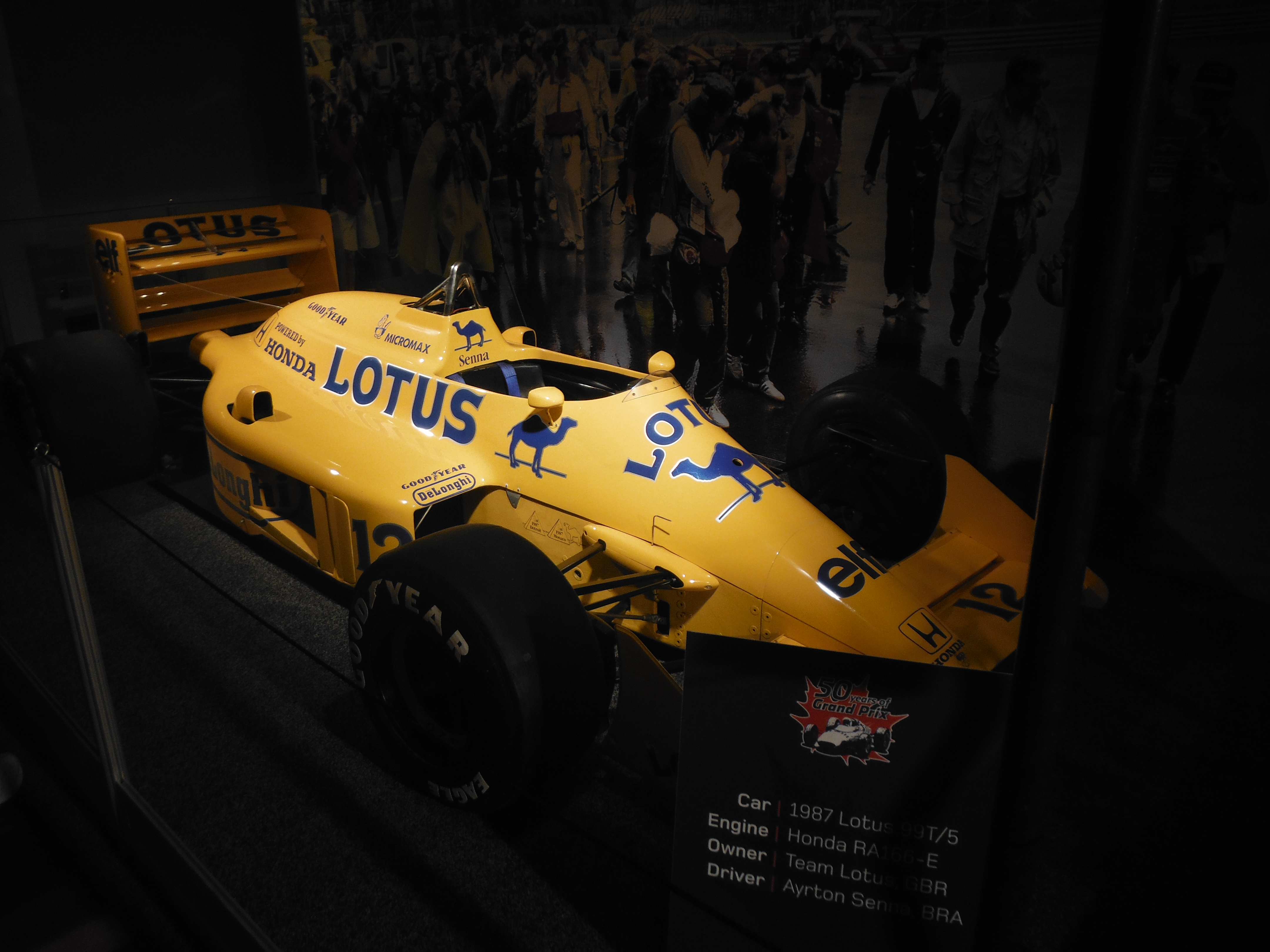DSCF9195.jpg