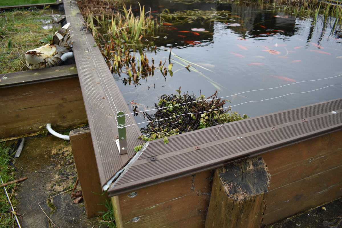 DSC_0002 - Copie (2)