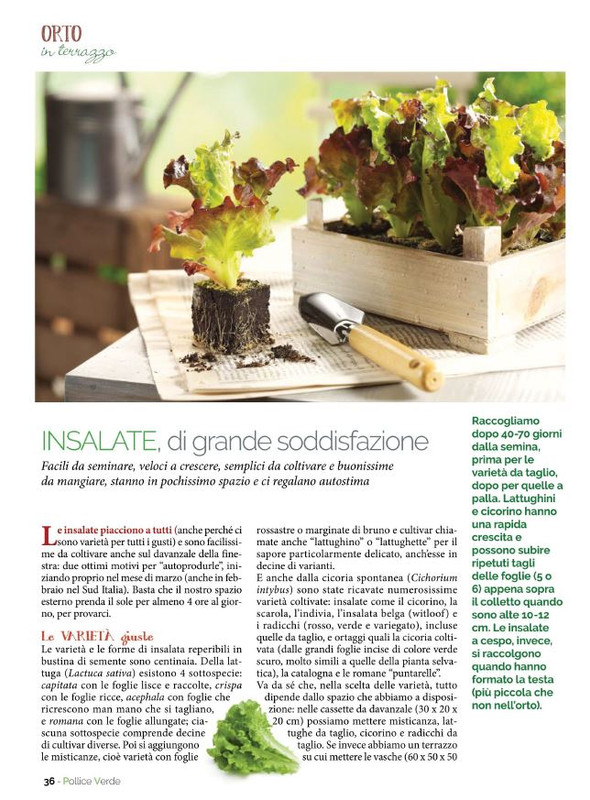 Pol Ver Mar-Apr 2022 (7)