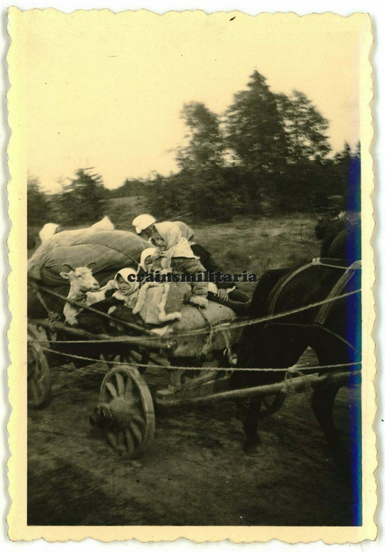 Orig. Foto russische Flüchtlinge Kinder Wagen Bevölkerung in Russland